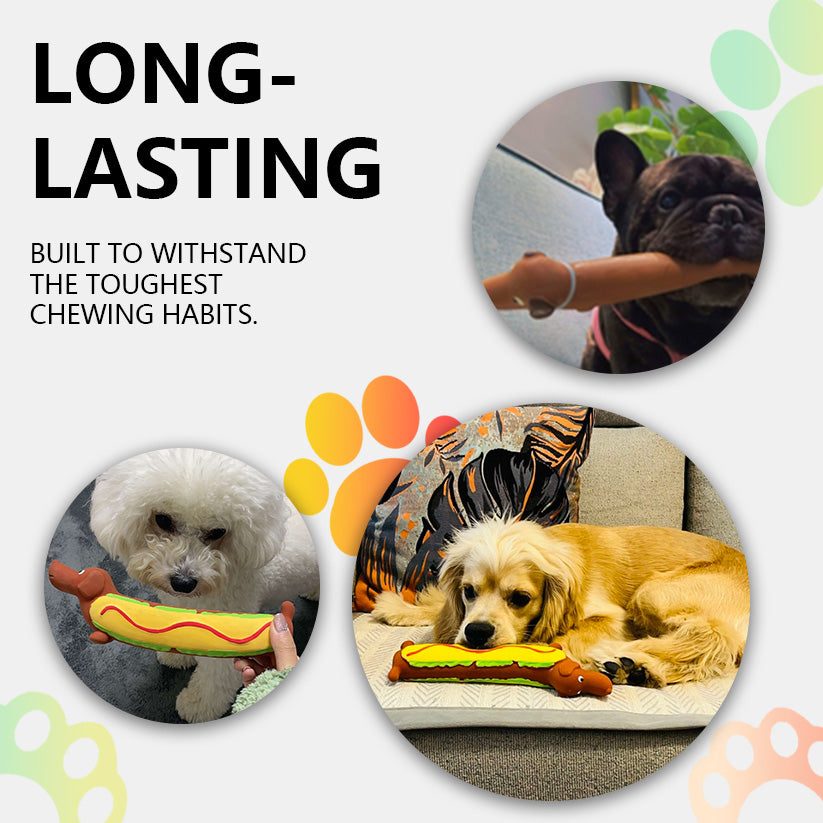 2025 New PawSoothe-Dachshund™ For Heavy Chewers🦮🐕‍🦺