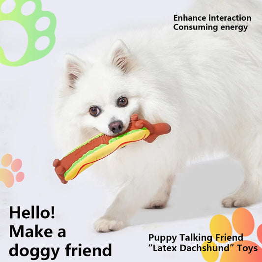 2025 New PawSoothe-Dachshund™ For Heavy Chewers🦮🐕‍🦺