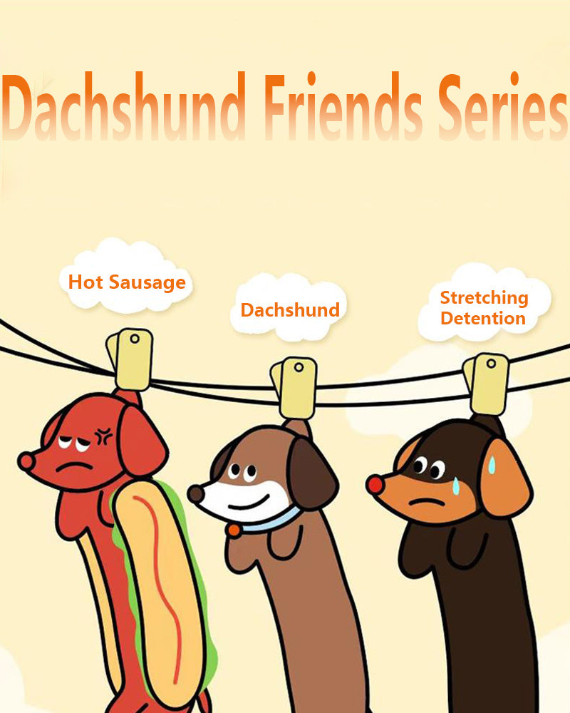 2025 New PawSoothe-Dachshund™ For Heavy Chewers🦮🐕‍🦺